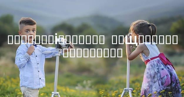 �����ƲƵİ�������  ��Щ�������������Ʋ�